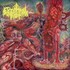 Cerebral Rot, Excretion of Mortality
