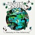 SOJA, Beauty In The Silence