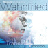 Richard Wahnfried, Trance 4 Motion mp3