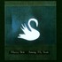 Mazzy Star, Among My Swan mp3