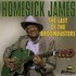 Homesick James, The Last Of The Broomdusters mp3