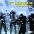 Live Tropical Fish, Shape Your Life mp3