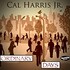 Cal Harris Jr., Ordinary Days mp3