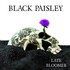 Black Paisley, Late Bloomer mp3