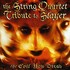 Vitamin String Quartet, The String Quartet Tribute to Slayer: The Evil You Dread mp3