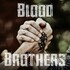 Mike Zito & Albert Castiglia, Blood Brothers mp3