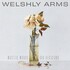 Welshly Arms, Wasted Words & Bad Decisions mp3