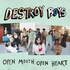 Destroy Boys, Open Mouth, Open Heart mp3