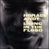 Horace Andy, Living In The Flood mp3