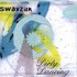 Swayzak, Dirty Dancing mp3
