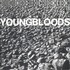 The Youngbloods, Rock Festival mp3