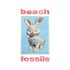 Beach Fossils, Bunny mp3