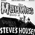The Mummies, Party At Steve's House mp3