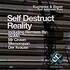 Kuchinke & Bayer, Self Destruct Reality (Remixes) feat. Jetstream Pony mp3