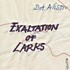 Dot Allison, Exaltation of Larks mp3