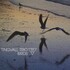 Tingvall Trio, Birds mp3
