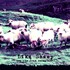 Niv Ast, Like Sheep (we run from ourselves) mp3