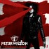Peter Wilson, Freedom's Door mp3