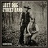 Lost Dog Street Band, Survived