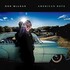 Don McLean, American Boys mp3