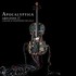 Apocalyptica, Amplified: A Decade of Reinventing the Cello