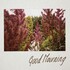 Clara La San, Good Mourning mp3