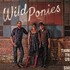 Wild Ponies, Things That Used to Shine mp3