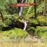 Sounds of the Earth, Sounds Of The Earth Collection mp3