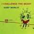 Gurf Morlix, I Challenge The Beast mp3