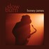 Boney James, Slow Burn