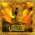 Voice, Golden Signs mp3