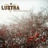 Lustra, What You Need & What You Get mp3