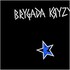 Brygada Kryzys, Brygada Kryzys