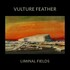 Vulture Feather, Liminal Fields mp3