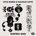 Little Barrie & Malcolm Catto, Electric War mp3