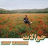 Charif Megarbane, Hawalat