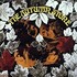 Small Faces, The Autumn Stone mp3