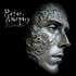 Peter Murphy, Silver Shade