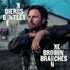 Dierks Bentley, Broken Branches