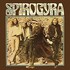 Spirogyra, St. Radigunds