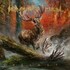 Heaven Shall Burn, Heimat