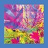The Reds, Pinks & Purples, The Past Is A Garden I Never Fed