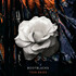 Bootblacks, Thin Skies mp3