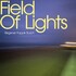 Regener Pappik Busch, Field Of Lights