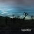 Sugarfoot, Different Stars mp3