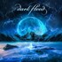 Dark Flood, Illusion of Light mp3