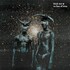 Black Star, No Fear Of Time