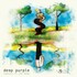 Deep Purple, Rapture of the Deep (20th Anniversary Remix) mp3