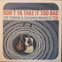 Jay Farrar & Shannon McNally, Don't Ya Take It Too Bad