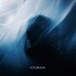 Revnoir, Coma